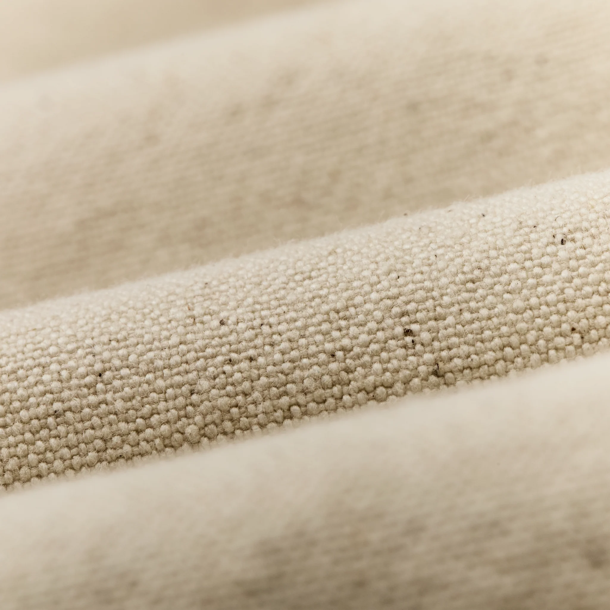 Dry Tin Cloth Shorts  - Natural Seed - Image 3